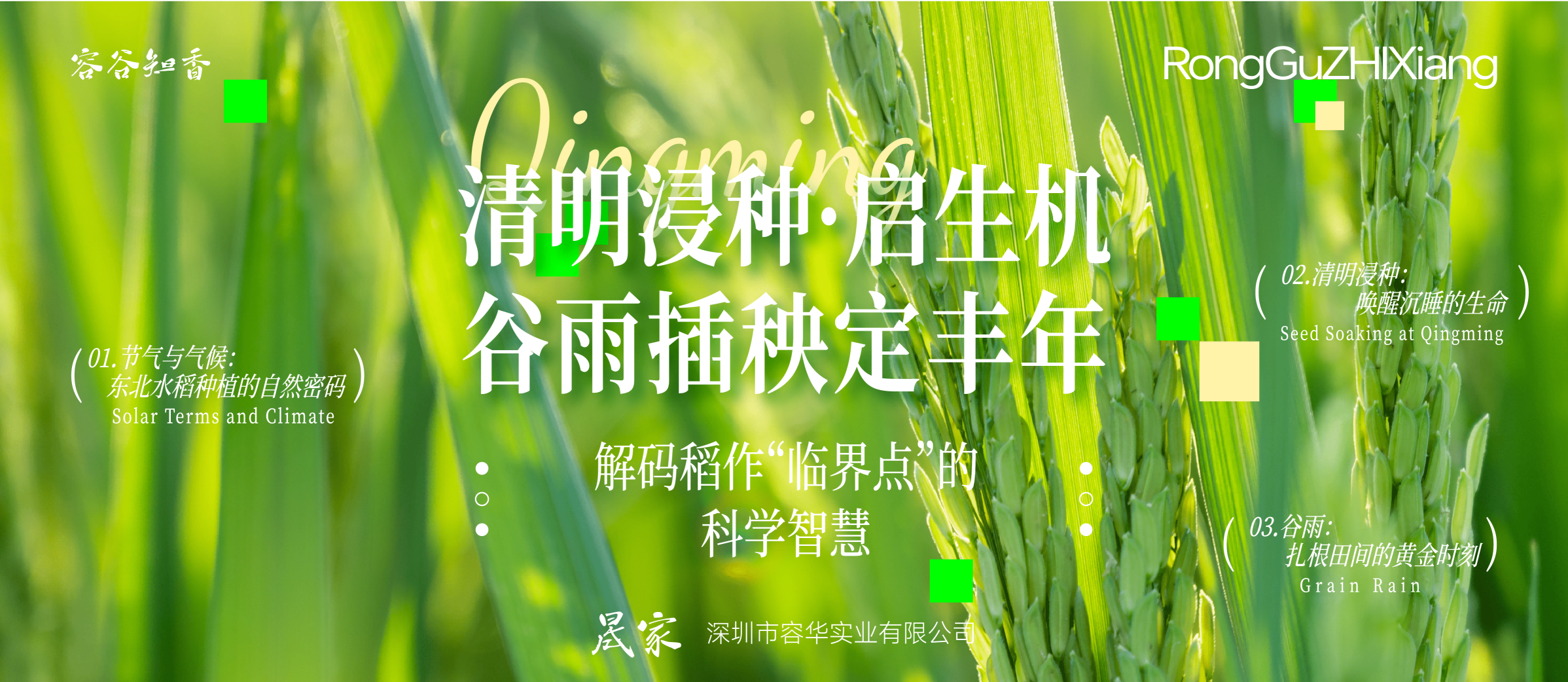 清明浸种启生机，谷雨插秧定丰年